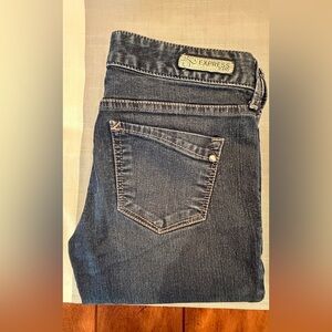 Express Dark Blue Flare Jeans Size 2R